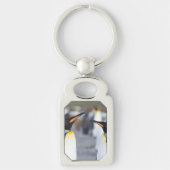 King Penguins Schlüsselanhänger (Vorderseite)