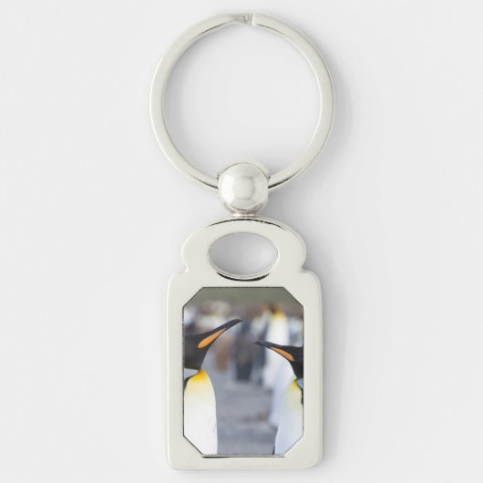King Penguins Schlüsselanhänger (Vorderseite)