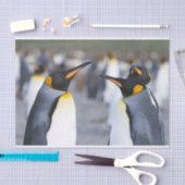 King Penguins Seidenpapier (Handwerk)