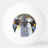 King Penguins Tischtennisball (Vorderseite)