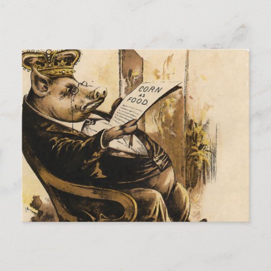 King Pig liest seine Zeitung Postkarte (Vorderseite)