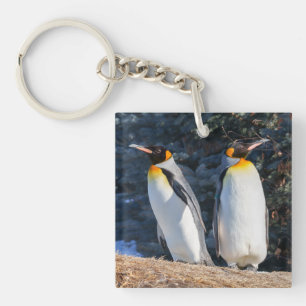 King Pinguin Pair gegen Wintry Background Schlüsselanhänger