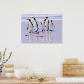 King Pinguine am Strand Poster (Küche)