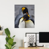 King Pinguine in Liebe Print Poster (Heimbüro)