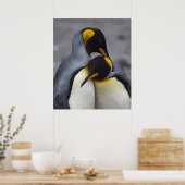 King Pinguine in Liebe Print Poster (Küche)