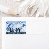 King Pinguine in Südgeorgien (Insitu)