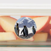 King Pinguine in Südgeorgien Etiketten (Befestigt)