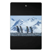King Pinguine in Südgeorgien Mini Klemmbrett (Rückseite)