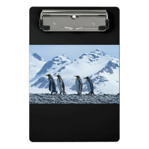 King Pinguine in Südgeorgien Mini Klemmbrett