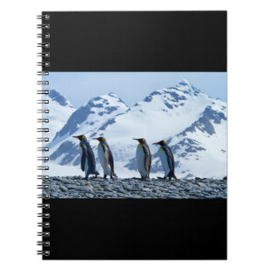 King Pinguine in Südgeorgien Notizblock