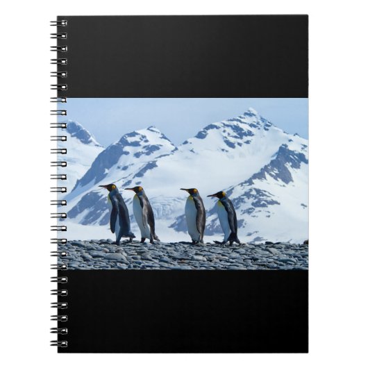 King Pinguine in Südgeorgien Notizblock (Vorderseite)