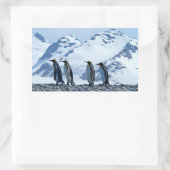 King Pinguine in Südgeorgien Rechteckiger Aufkleber (Tasche)