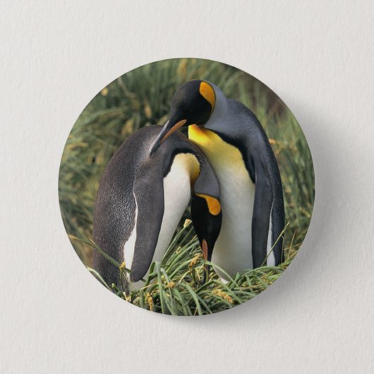 King Pinguine Lovers Button (Vorderseite)