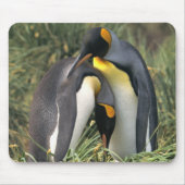 King Pinguine Lovers Mousepad (Vorne)