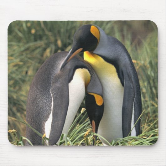 King Pinguine Lovers Mousepad (Vorne)