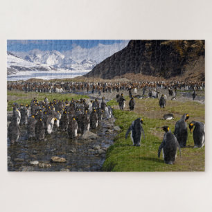 King Pinguine und Gebirge in Südgeorgien Puzzle
