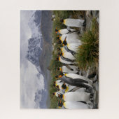 King Pinguine und Gebirge in Südgeorgien Puzzle (Vertikal)