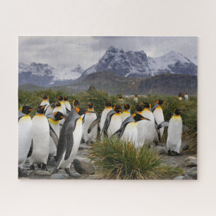 King Pinguine und Gebirge in Südgeorgien Puzzle