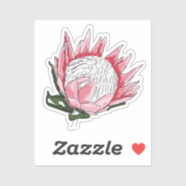 King Protea Custom cut Aufkleber IV