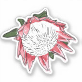 King Protea Custom cut Sticker III (Vorderseite)