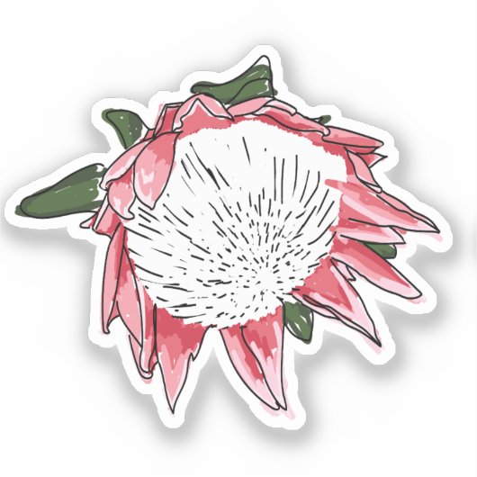 King Protea Custom cut Sticker III (Vorderseite)