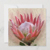 King Protea Einladung High Tee (Rückseite)