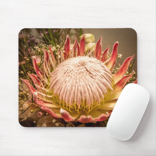 King Protea Mousepad (Mit Mouse)