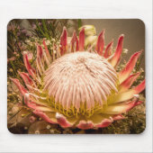 King Protea Mousepad (Vorne)