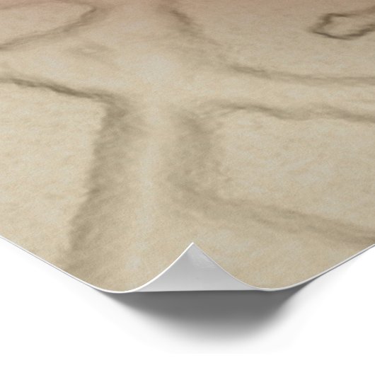 King Protea Poster (Ecke)