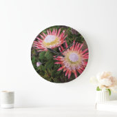 King Protea (Protea Cynaroides), Helderberg Große Wanduhr (Zuhause)