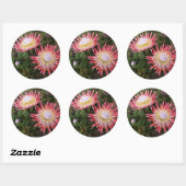 King Protea (Protea Cynaroides), Helderberg Runder Aufkleber (Blatt)