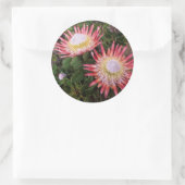 King Protea (Protea Cynaroides), Helderberg Runder Aufkleber (Tasche)