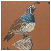 King Quail Stoff (Nahaufnahme)