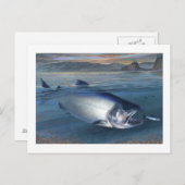King Salmon Postcard Postkarte (Vorne/Hinten)