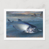King Salmon Postcard Postkarte (Vorderseite)