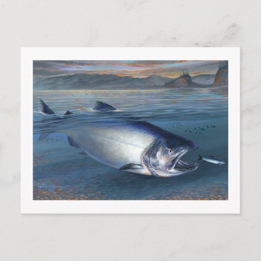 King Salmon Postcard Postkarte (Vorderseite)