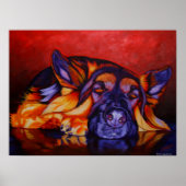 King Shepherd Poster (Vorne)