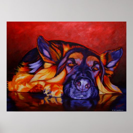 King Shepherd Poster (Vorne)