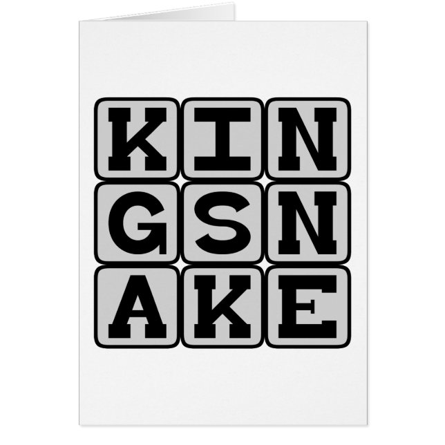 King Snake, Slithering Reptile (Vorne)