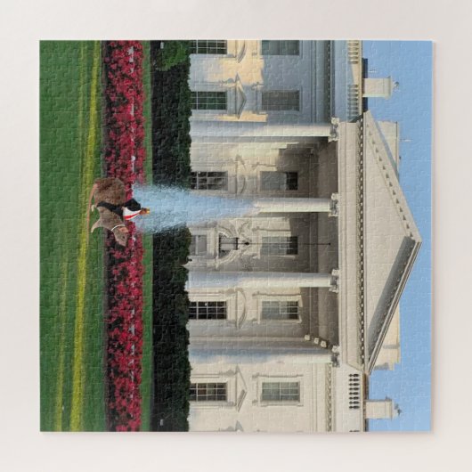 King Trump Puzzle (Horizontal)