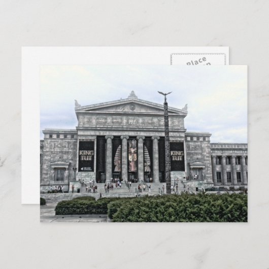 KING TUT Field Museum Postkarte (Vorne/Hinten)