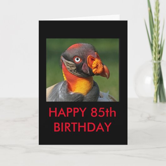 King Vulture - Happy 85. Geburtstag Karte (Vorderseite)