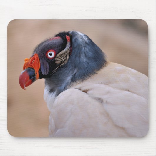 King Vulture Mousepad (Vorne)