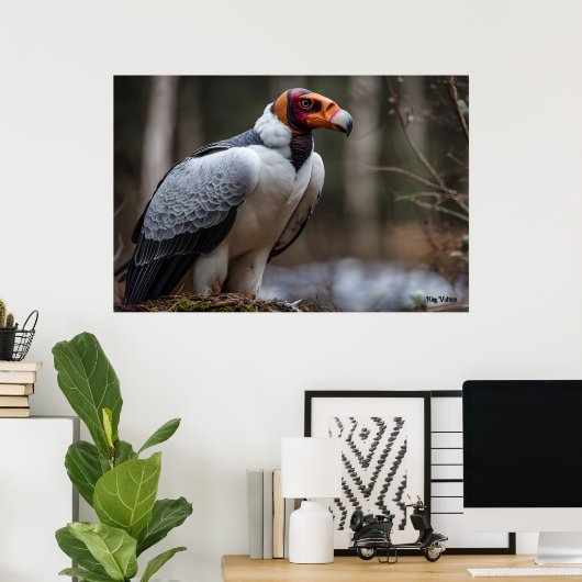 King Vulture Poster (Heimbüro)