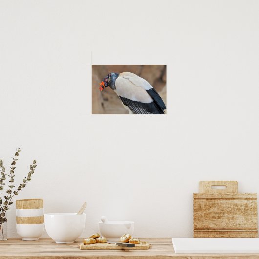 King Vulture Poster (Küche)