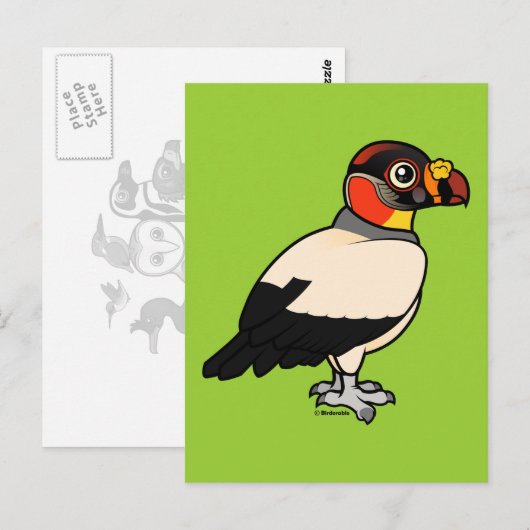 King Vulture Postkarte (Vorne/Hinten)