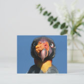 King Vulture Ugly Bird Postcard Postkarte (Stehend Vorderseite)