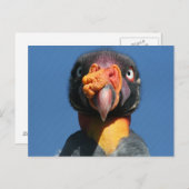 King Vulture Ugly Bird Postcard Postkarte (Vorne/Hinten)