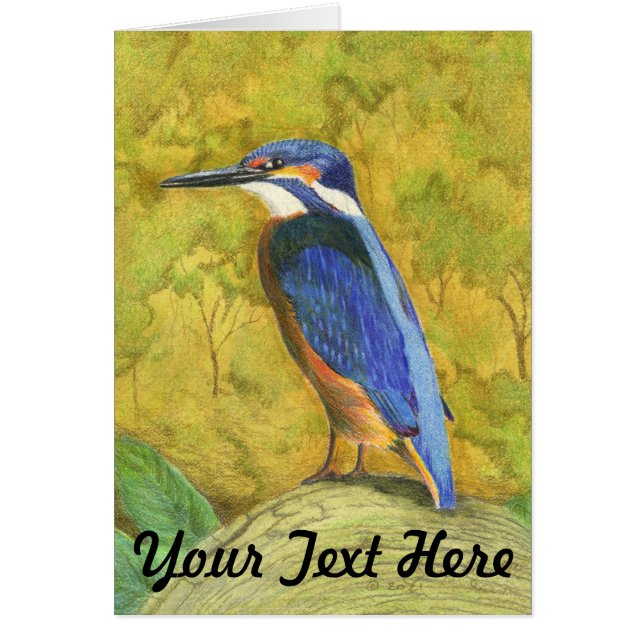 Kingfisher (Vorne)