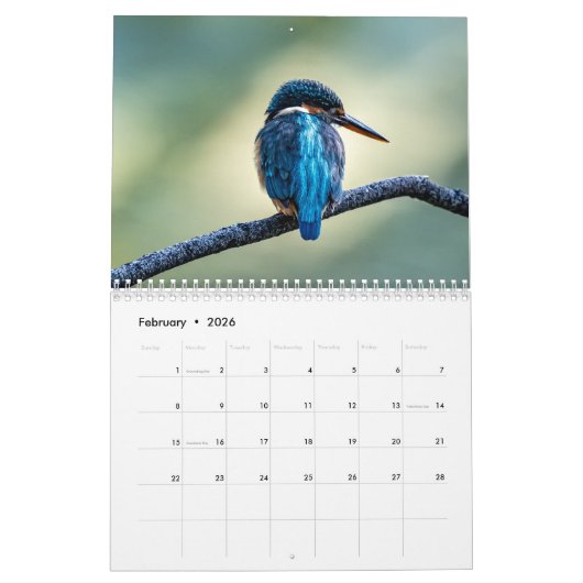 Kingfisher 2025 kalender (Feb 2026)